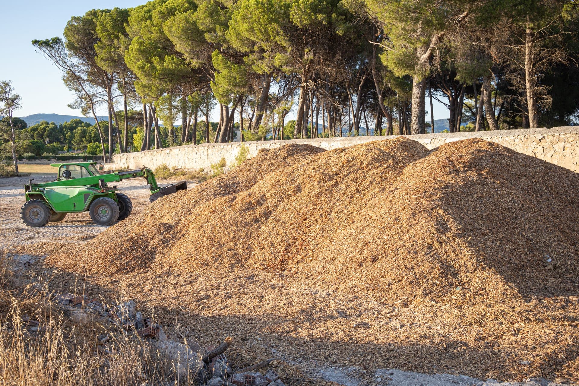 Sciure de bois issue du broyage industriel